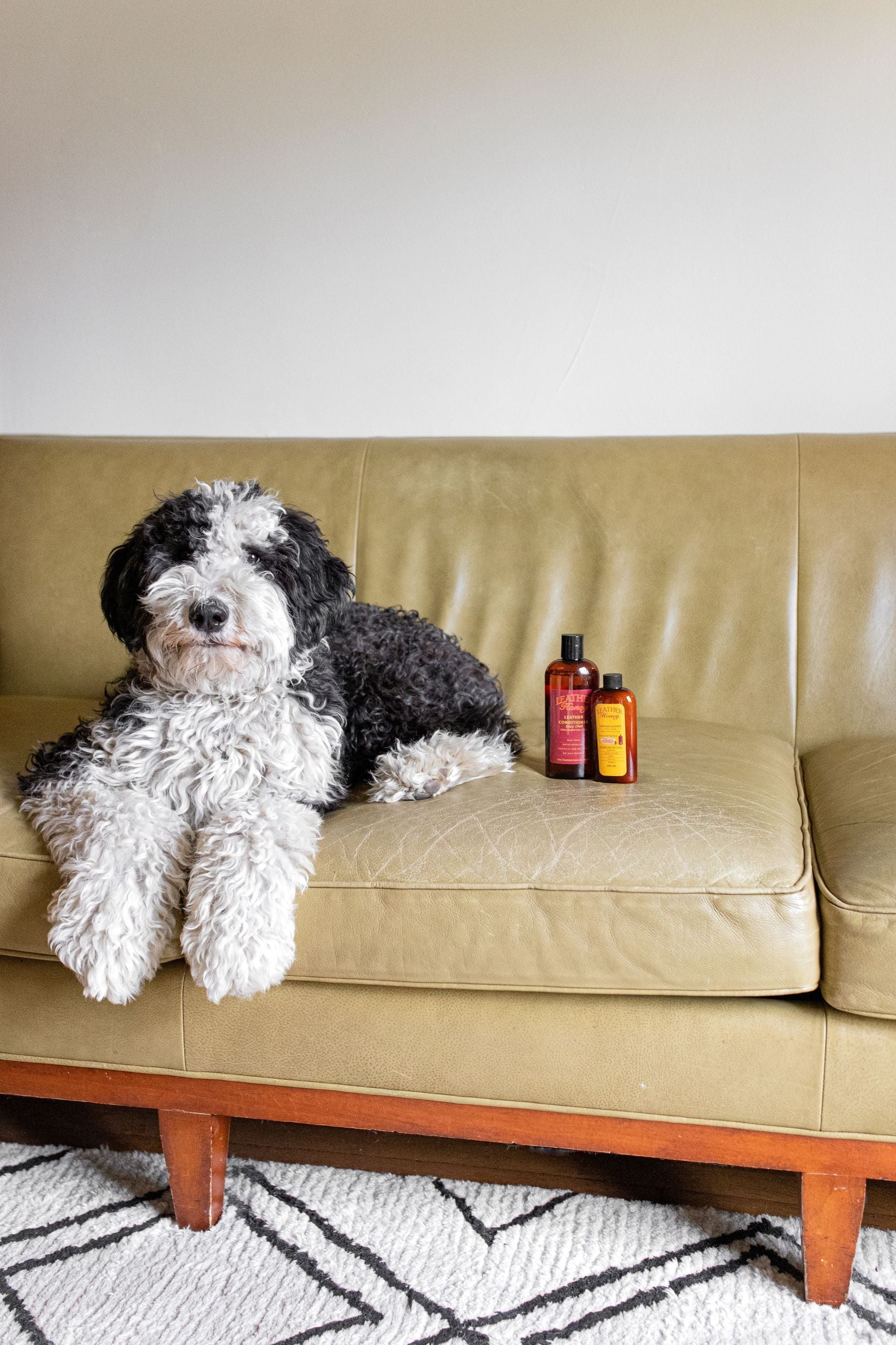 Prevent Clean Pet Stains on Leather Leather Honey